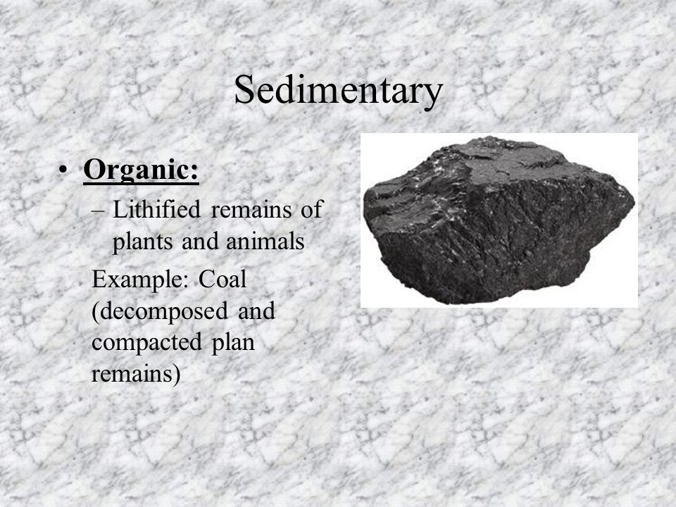 dating remains of plants and animals